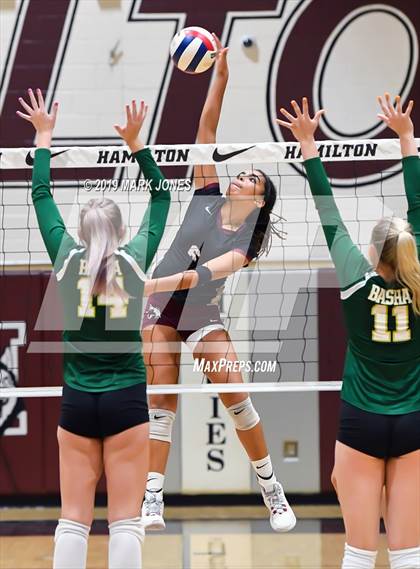 Thumbnail 3 in Basha @ Hamilton photogallery.