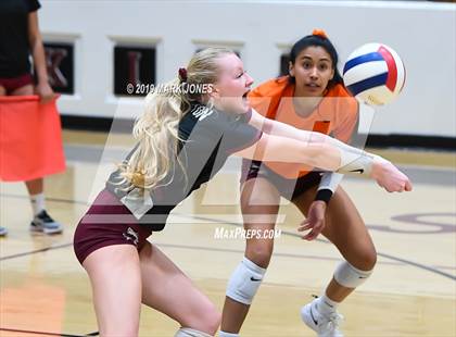 Thumbnail 2 in Basha @ Hamilton photogallery.