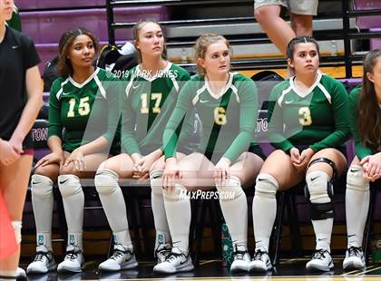 Thumbnail 3 in Basha @ Hamilton photogallery.