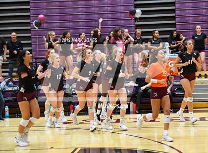 Thumbnail 2 in Basha @ Hamilton photogallery.