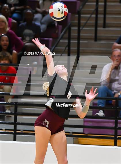 Thumbnail 1 in Basha @ Hamilton photogallery.