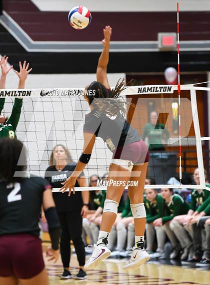 Thumbnail 1 in Basha @ Hamilton photogallery.