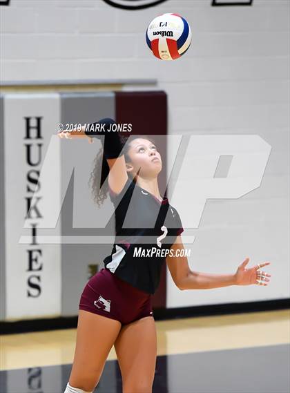 Thumbnail 1 in Basha @ Hamilton photogallery.