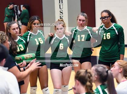 Thumbnail 2 in Basha @ Hamilton photogallery.