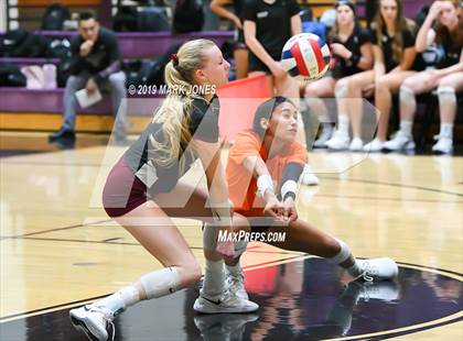 Thumbnail 2 in Basha @ Hamilton photogallery.