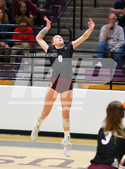 Thumbnail 3 in Basha @ Hamilton photogallery.