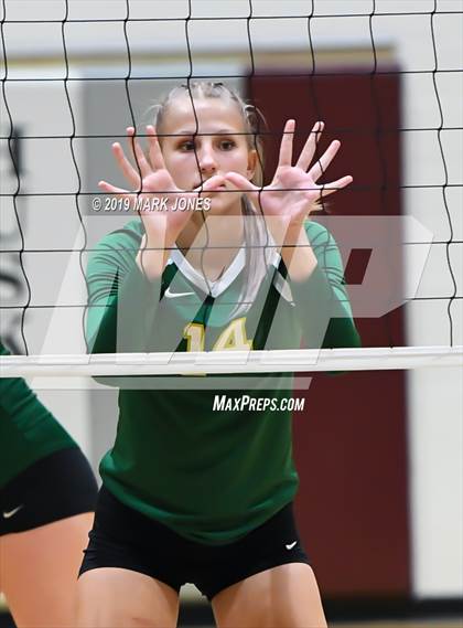 Thumbnail 1 in Basha @ Hamilton photogallery.