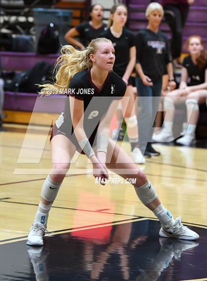 Thumbnail 3 in Basha @ Hamilton photogallery.