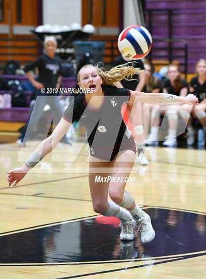 Thumbnail 2 in Basha @ Hamilton photogallery.