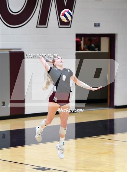 Thumbnail 2 in Basha @ Hamilton photogallery.