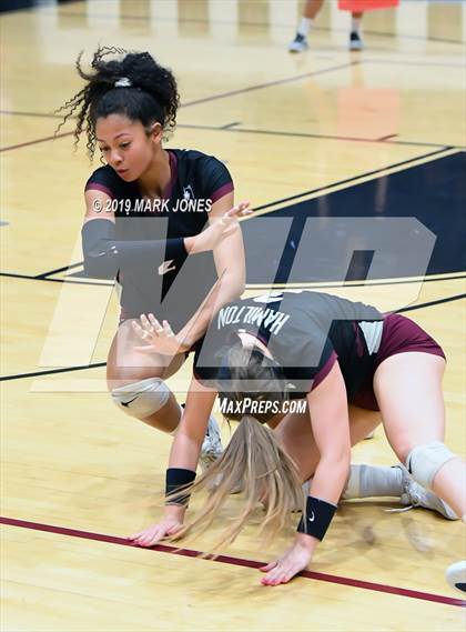 Thumbnail 3 in Basha @ Hamilton photogallery.