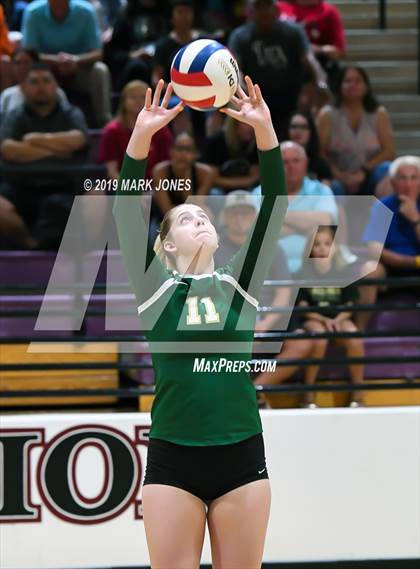 Thumbnail 3 in Basha @ Hamilton photogallery.