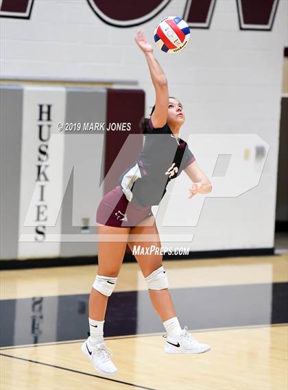 Thumbnail 2 in Basha @ Hamilton photogallery.