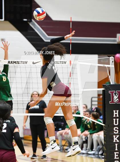 Thumbnail 3 in Basha @ Hamilton photogallery.