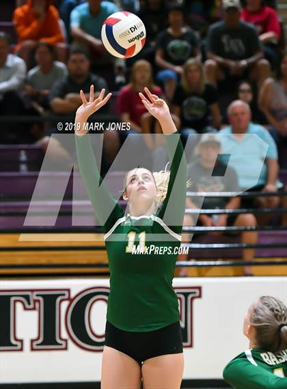 Thumbnail 2 in Basha @ Hamilton photogallery.
