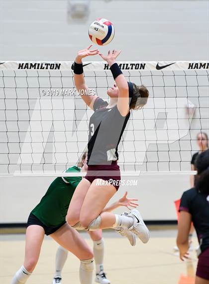 Thumbnail 2 in Basha @ Hamilton photogallery.