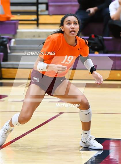 Thumbnail 1 in Basha @ Hamilton photogallery.