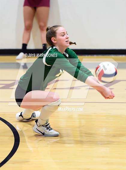 Thumbnail 3 in Basha @ Hamilton photogallery.