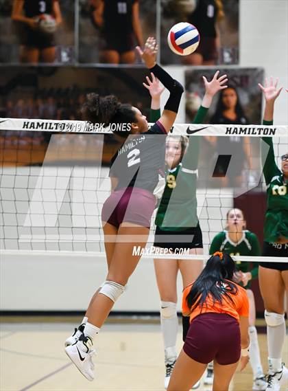 Thumbnail 2 in Basha @ Hamilton photogallery.