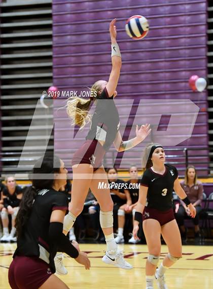 Thumbnail 3 in Basha @ Hamilton photogallery.