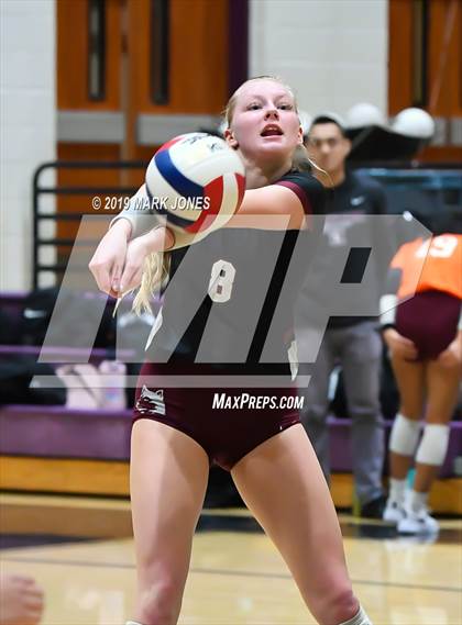 Thumbnail 3 in Basha @ Hamilton photogallery.
