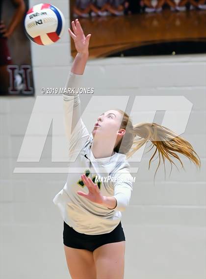 Thumbnail 1 in Basha @ Hamilton photogallery.