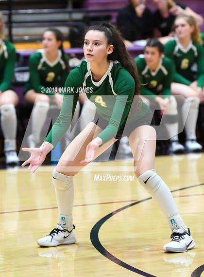 Thumbnail 2 in Basha @ Hamilton photogallery.