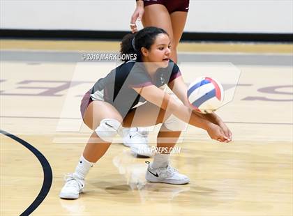Thumbnail 3 in Basha @ Hamilton photogallery.