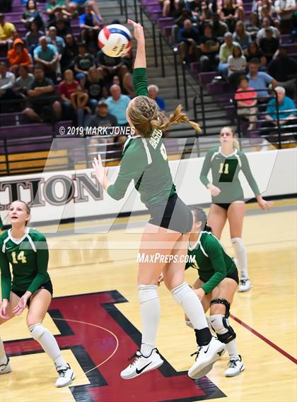 Thumbnail 3 in Basha @ Hamilton photogallery.