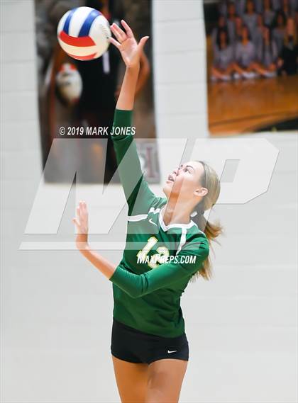 Thumbnail 2 in Basha @ Hamilton photogallery.