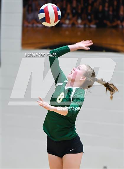 Thumbnail 3 in Basha @ Hamilton photogallery.