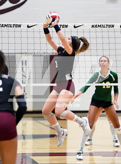Thumbnail 2 in Basha @ Hamilton photogallery.