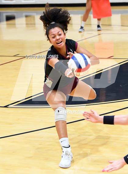 Thumbnail 1 in Basha @ Hamilton photogallery.