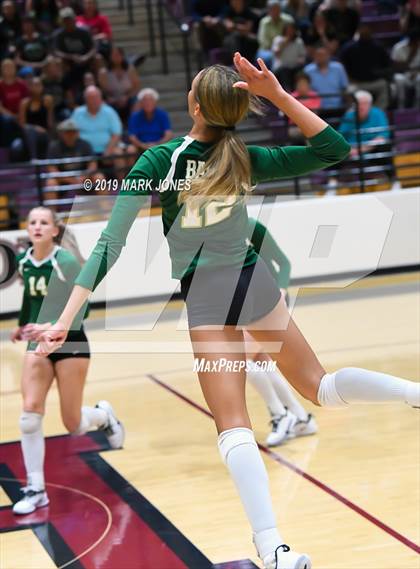 Thumbnail 3 in Basha @ Hamilton photogallery.
