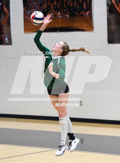 Thumbnail 2 in Basha @ Hamilton photogallery.