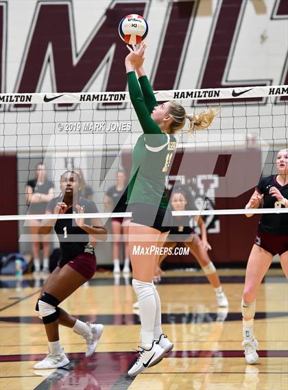 Thumbnail 3 in Basha @ Hamilton photogallery.