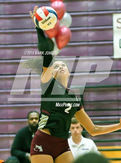 Thumbnail 1 in Basha @ Hamilton photogallery.