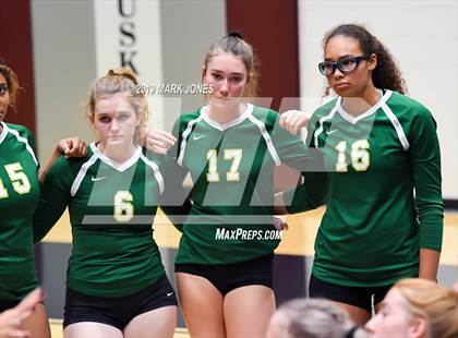 Thumbnail 3 in Basha @ Hamilton photogallery.