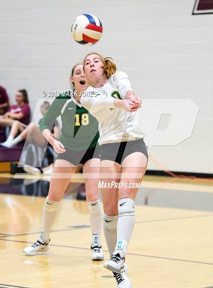 Thumbnail 1 in Basha @ Hamilton photogallery.
