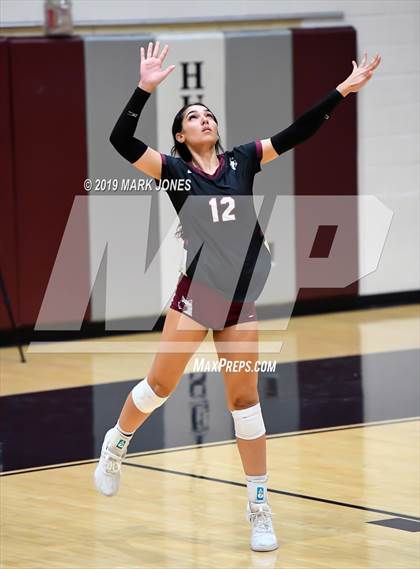 Thumbnail 2 in Basha @ Hamilton photogallery.