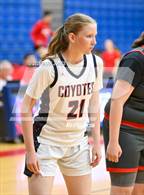 Photo from the gallery "Ironwood @ Centennial"
