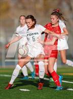 Photo from the gallery "Fossil Ridge @ Loveland"