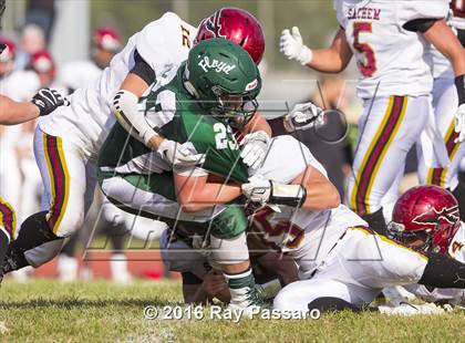 Thumbnail 2 in Sachem East @ William Floyd photogallery.