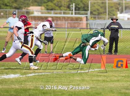 Thumbnail 1 in Sachem East @ William Floyd photogallery.