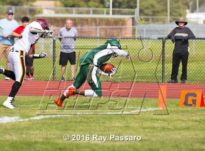 Thumbnail 3 in Sachem East @ William Floyd photogallery.