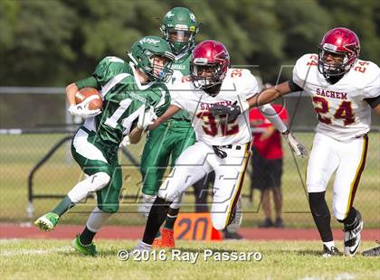 Thumbnail 3 in Sachem East @ William Floyd photogallery.