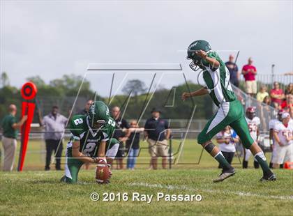 Thumbnail 2 in Sachem East @ William Floyd photogallery.