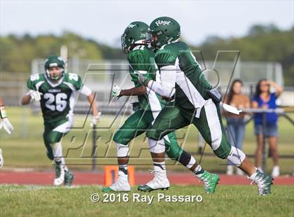 Thumbnail 1 in Sachem East @ William Floyd photogallery.