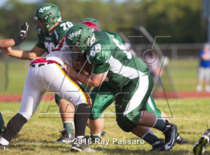 Thumbnail 2 in Sachem East @ William Floyd photogallery.