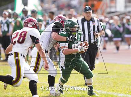 Thumbnail 1 in Sachem East @ William Floyd photogallery.